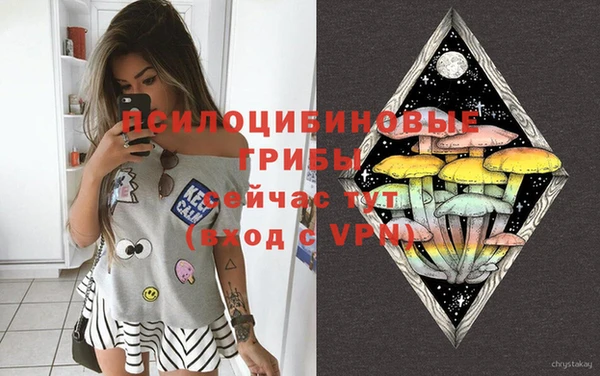 первитин Коряжма