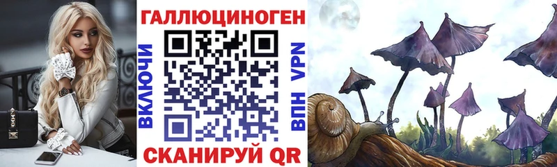 Галлюциногенные грибы GOLDEN TEACHER  закладки  Иноземцево 